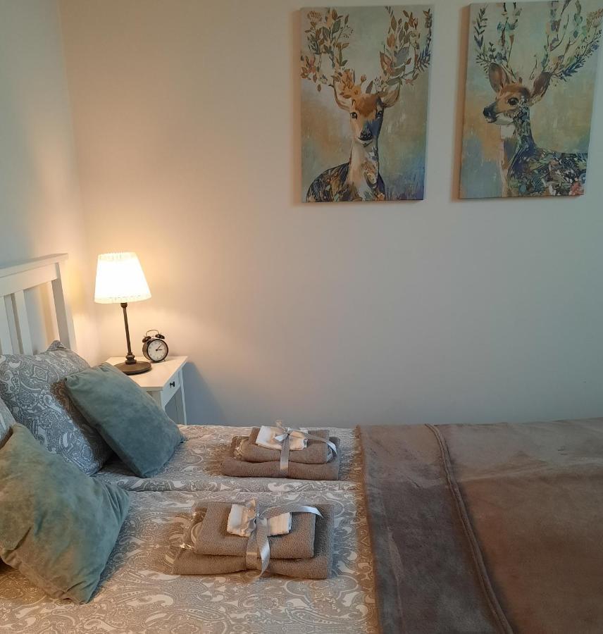 Apartamenty Bydgostia Bydgoszcz Ngoại thất bức ảnh